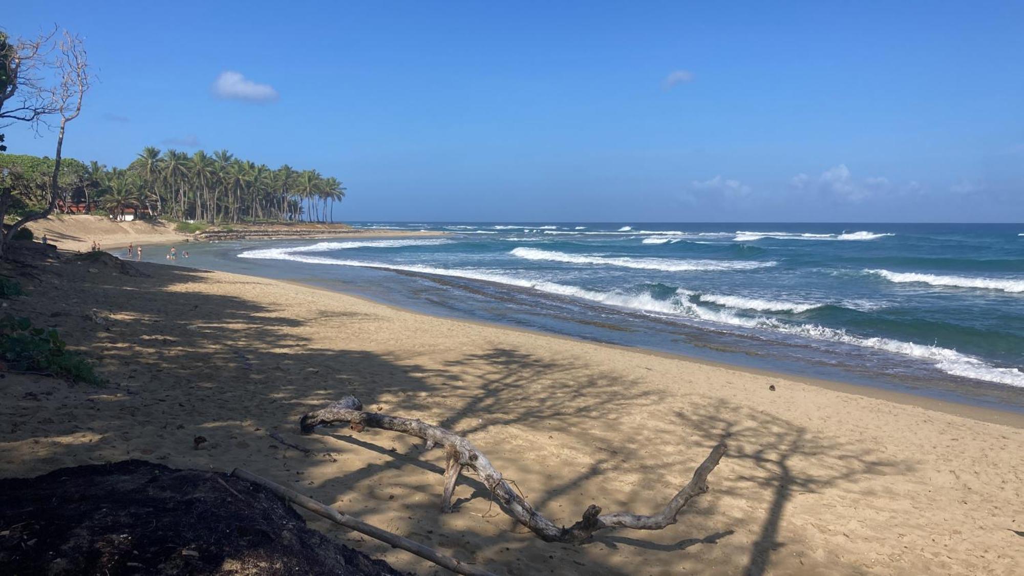 Cita Del Sol City Apartments Cabarete Eksteriør bilde